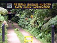 Santa Elena Reserve - Monteverde